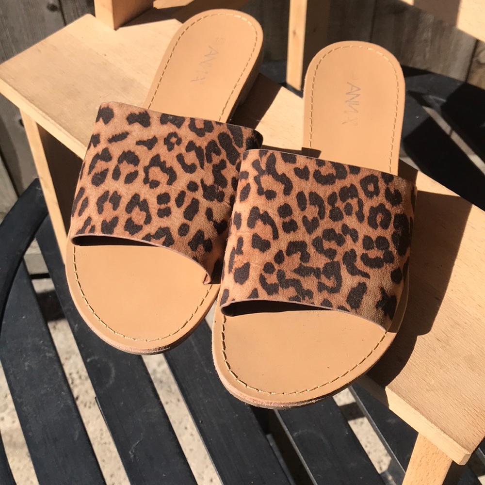 Leopard slides